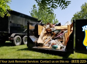 Junk Police cleanout and junk removal